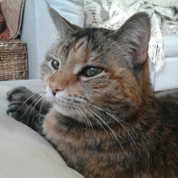 Meet your Posher, Ashley - Picture 1 of 2